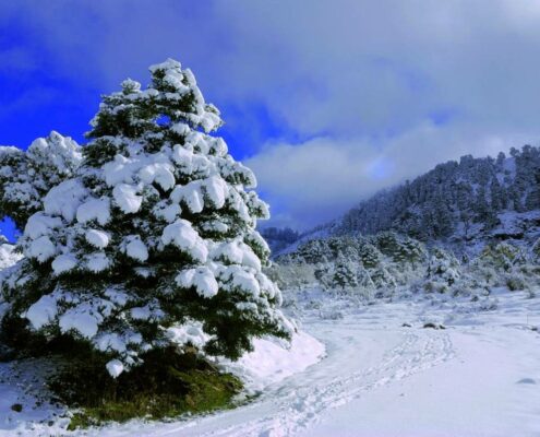 La-Sierra-de-las-Nieves-Parque-Nacional