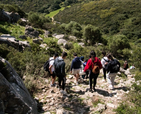 rutas-interpretadas-por-la-sierra-de-la-utrera