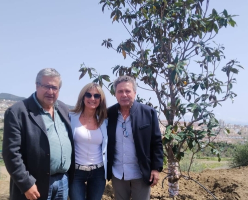 un-magnolio-para-el-parque-al-baytar