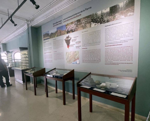 Sierra-Bermeja en-el-Museo-Paleontológico