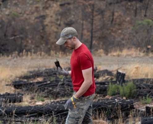 Voluntarios-de-IKEA-reforestan-Sierra-Bermeja